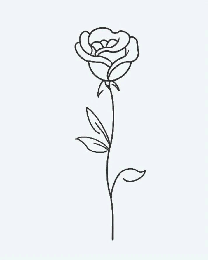 Single Rose