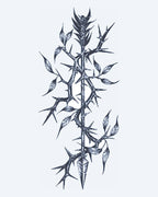Thorny Branch