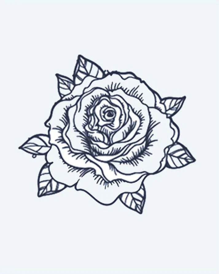 Blooming Rose