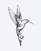 Hummingbird