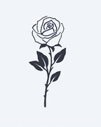 Single Stem Rose